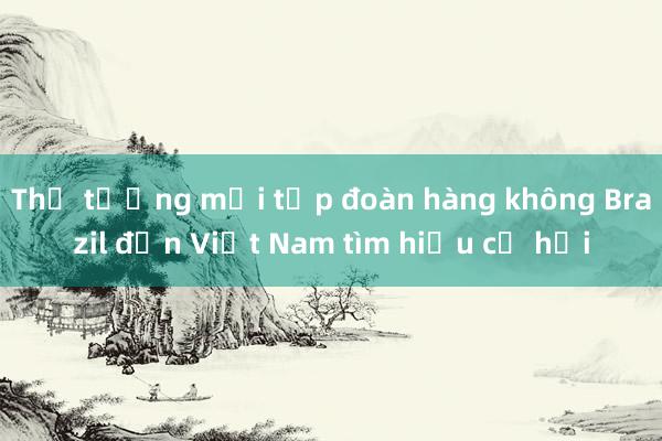 Thủ tướng mời tập đoàn hàng không Brazil đến Việt Nam tìm hiểu cơ hội