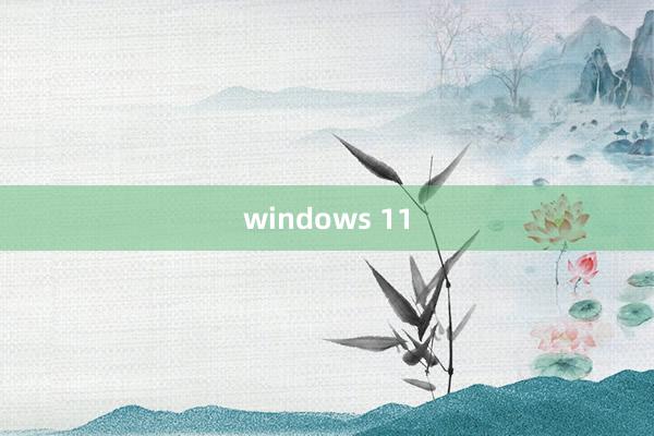 windows 11