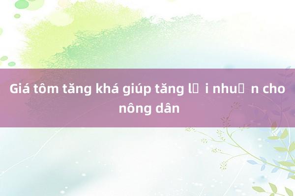 Giá tôm tăng khá giúp tăng lợi nhuận cho nông dân