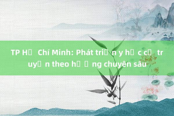 TP Hồ Chí Minh: Phát triển y học cổ truyền theo hướng chuyên sâu