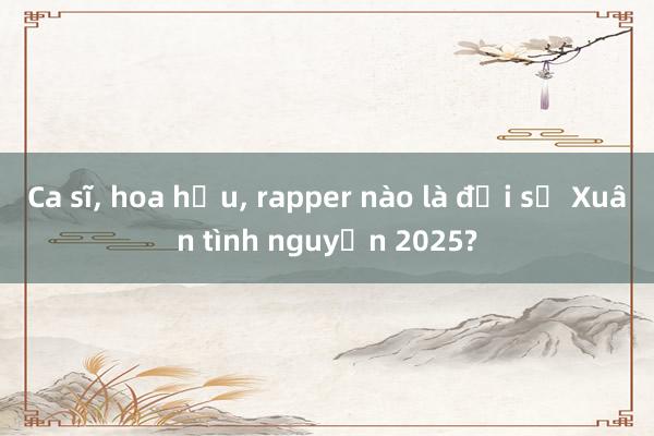 Ca sĩ， hoa hậu， rapper nào là đại sứ Xuân tình nguyện 2025?