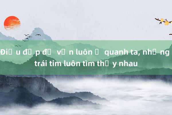 Điều đẹp đẽ vẫn luôn ở quanh ta, những trái tim luôn tìm thấy nhau