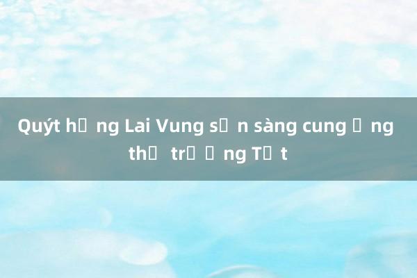 Quýt hồng Lai Vung sẵn sàng cung ứng thị trường Tết