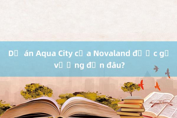 Dự án Aqua City của Novaland được gỡ vướng đến đâu?